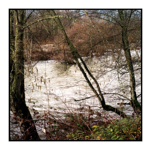 IMGP8926-crop2-ver2 copy