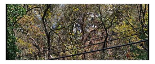 1385285_10151956404469391_341545952_n